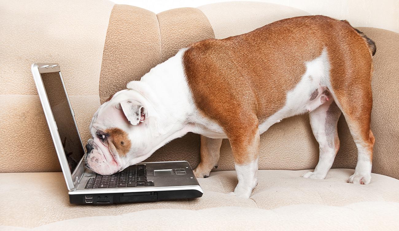 How to Grab Attention and Maintain Interest with Your Press Release Headline
